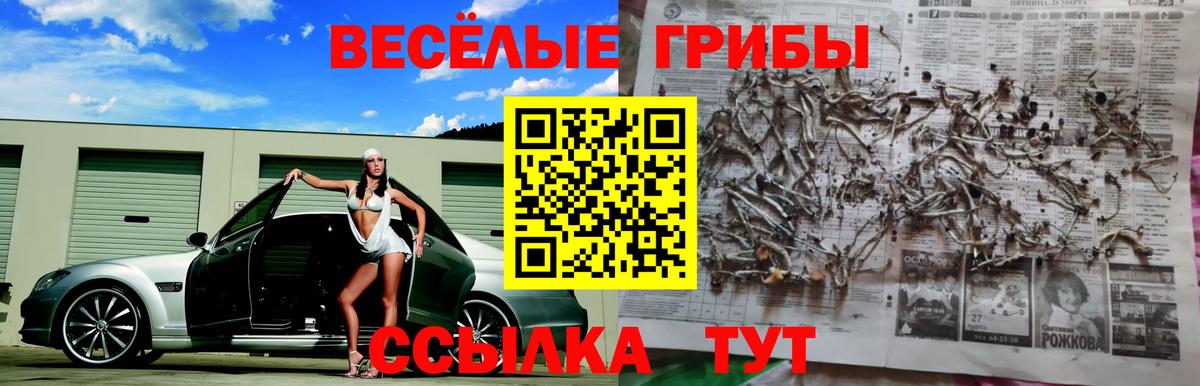 Псилоцибиновые грибы MAGIC MUSHROOMS Кирово-Чепецк
